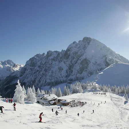 Laerchenalm Apartment