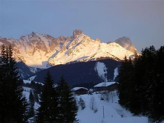 Laerchenalm * 圣马丁安提奈各布里奇